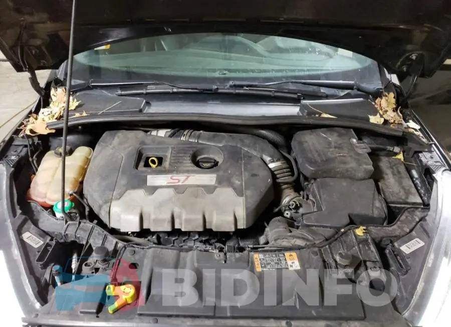 1FADP3L95FL260853 Photo# 12