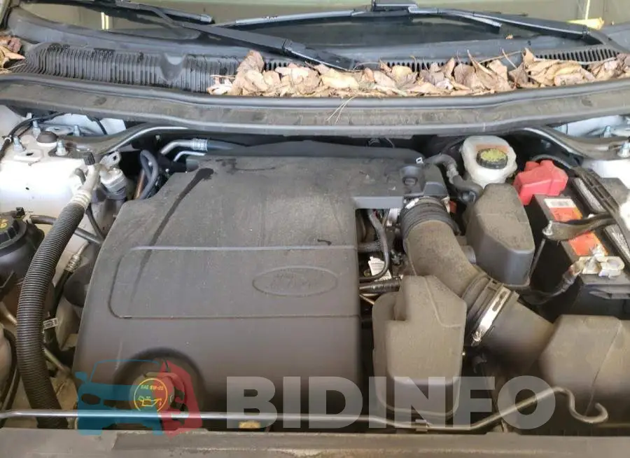 1FM5K7D88HGC12538 Photo# 12