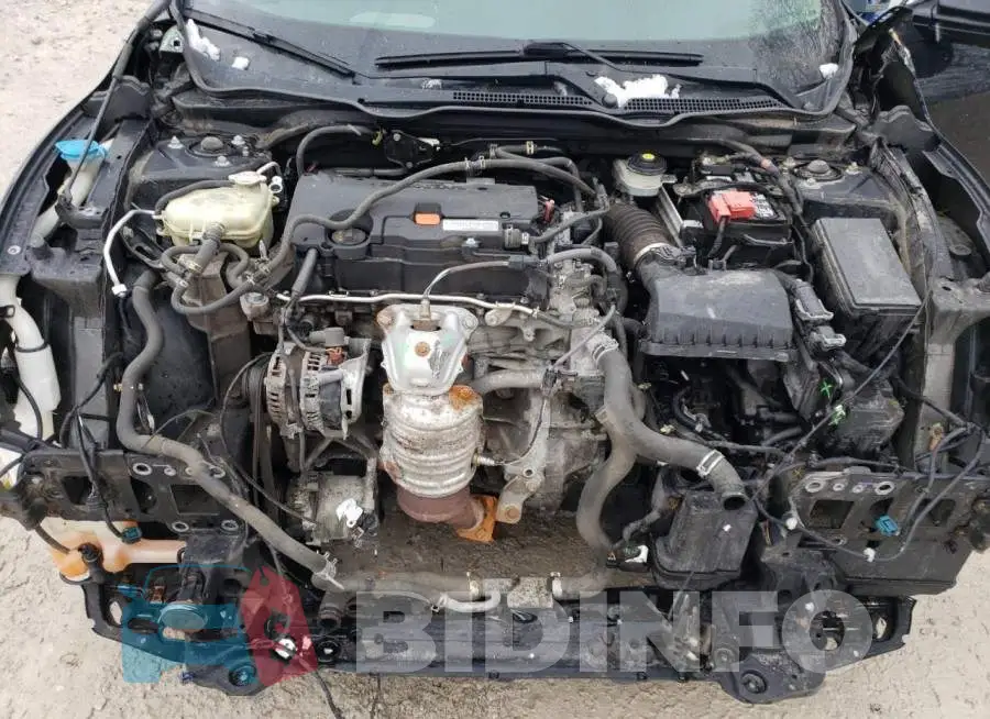 19XFC2F72GE040325 Photo# 11