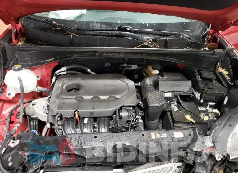 KNDPM3AC1L7753741 Photo# 11