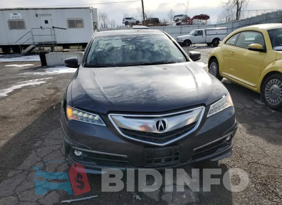 19UUB3F71FA010638 Photo# 5