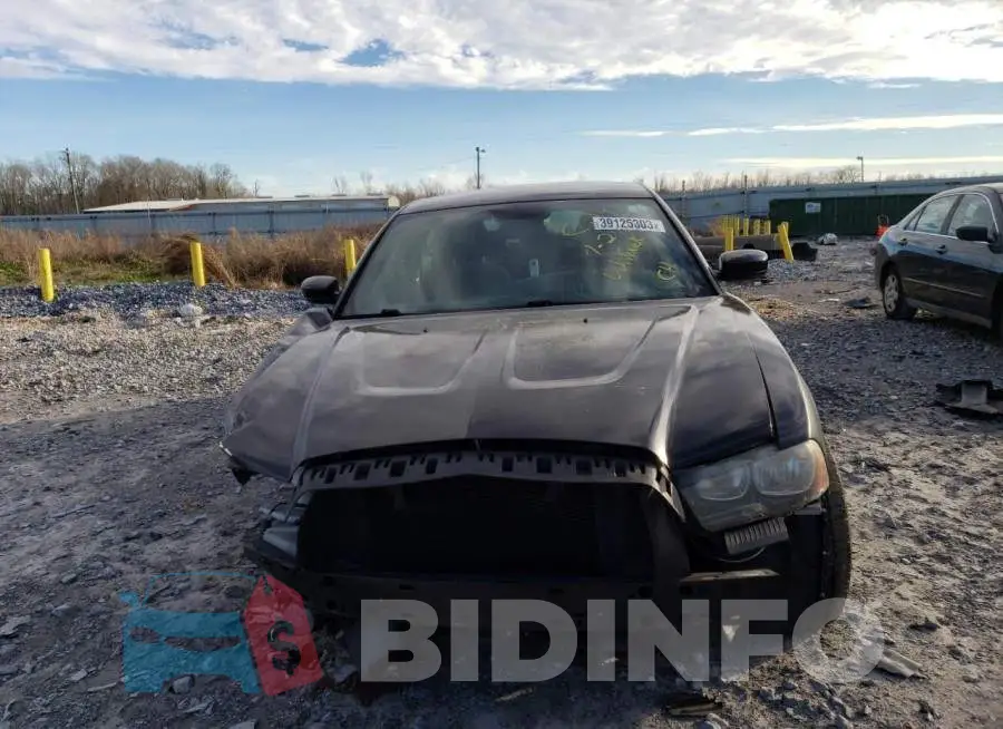 2C3CDXBG1EH245417 Photo# 5