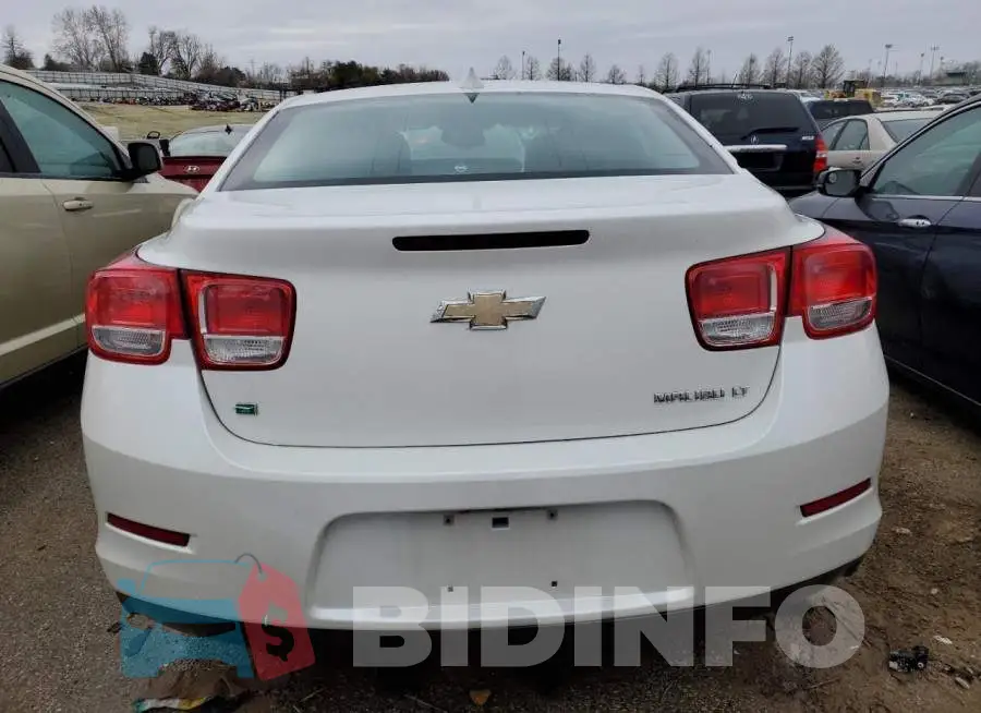 1G11C5SL4FF206629 Photo# 6