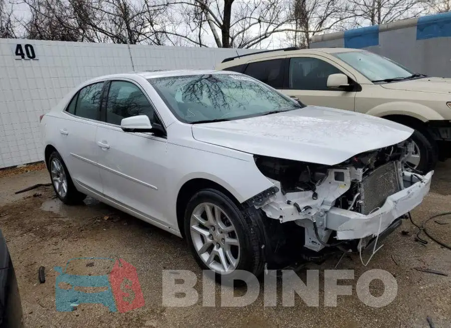 1G11C5SL4FF206629 Photo# 4