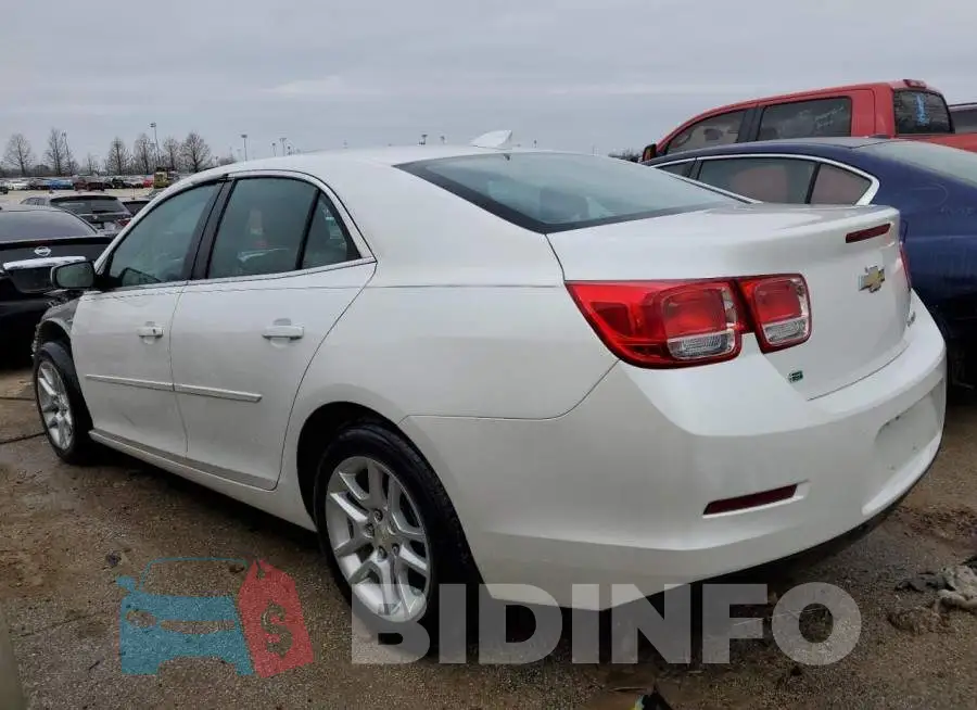 1G11C5SL4FF206629 Photo# 2