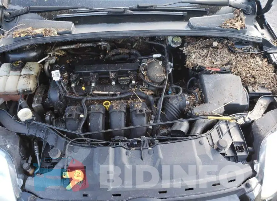 1FADP3F25EL330834 Photo# 7