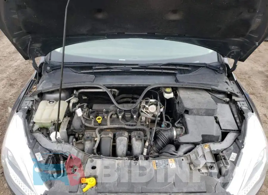 1FADP3F26HL268137 Photo# 11