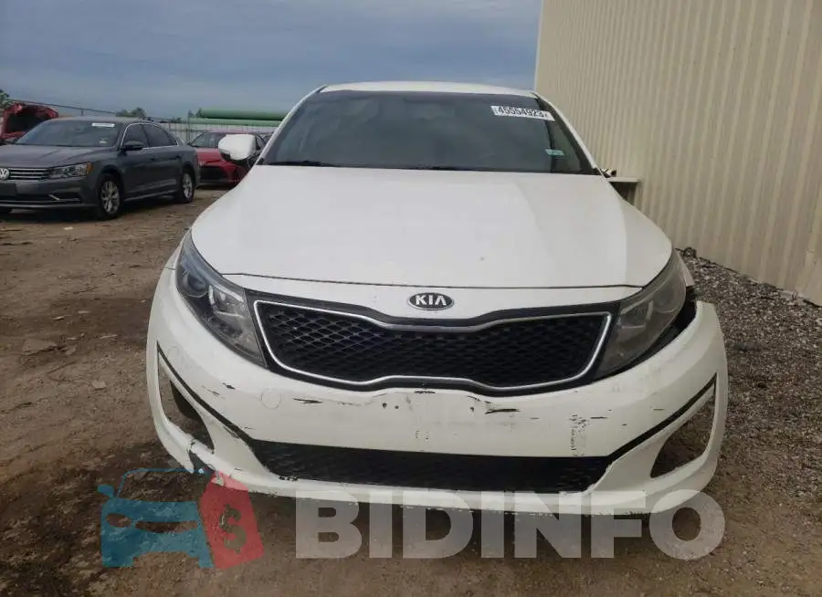 KNAGM4A71F5602565 Photo# 5