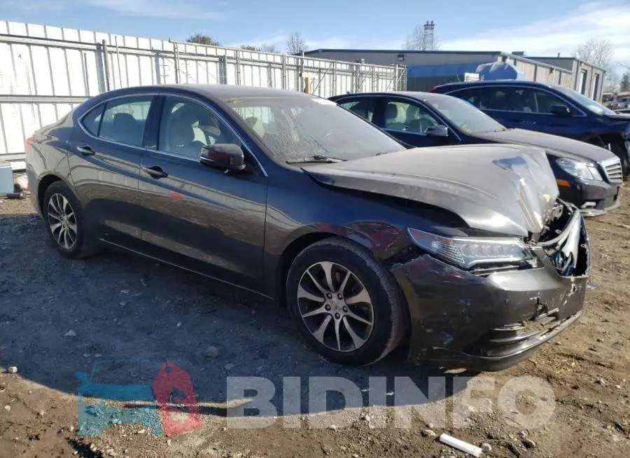 19UUB1F39FA010517 Photo# 4