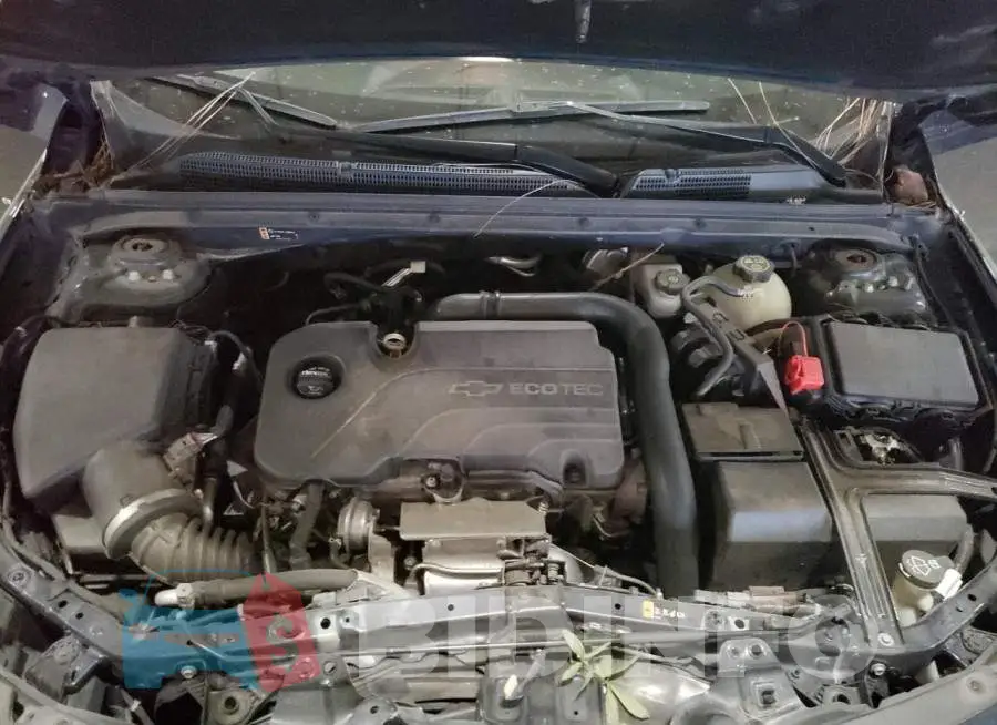 1G1ZD5ST3JF153561 Photo# 7