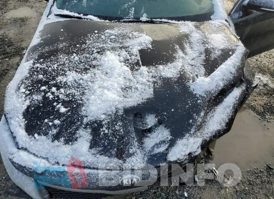 5XXGT4L31GG081814 Photo# 11