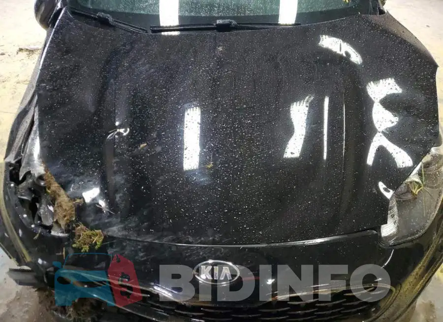 KNDP63AC9L7693170 Photo# 11