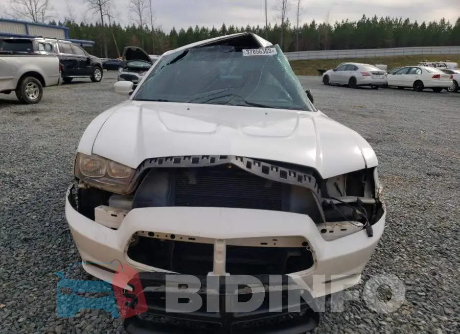 2C3CDXBG6EH150531 Photo# 5