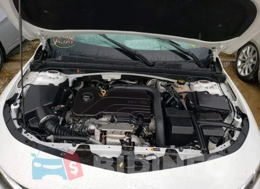 1G1ZD5ST5KF106484 Photo# 7