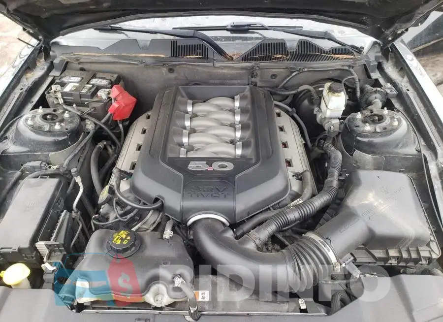 1ZVBP8CF0E5225724 Photo# 11