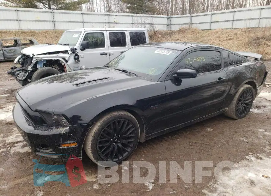 1ZVBP8CF0E5225724 Photo# 1