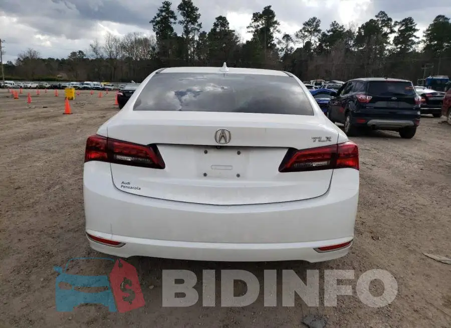 19UUB1F35FA014354 Photo# 6