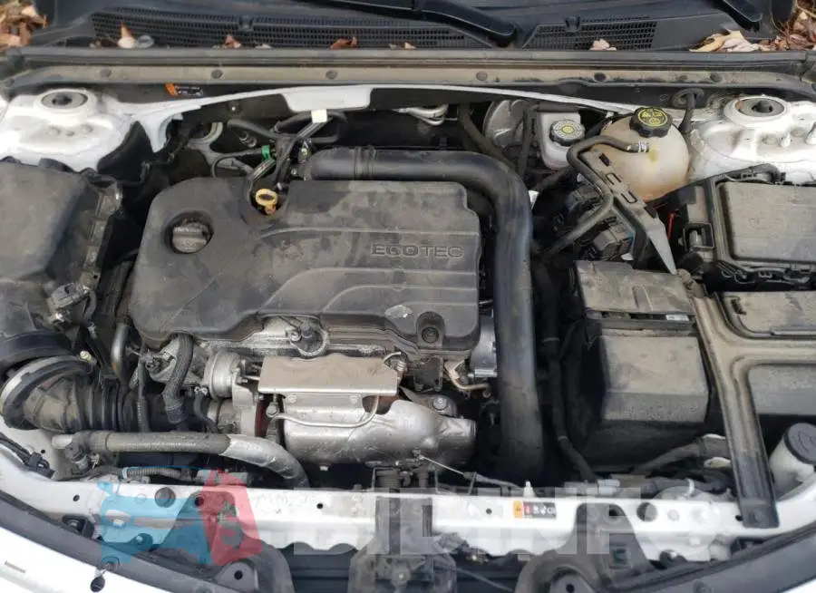 1G1ZD5ST5LF053366 Photo# 11