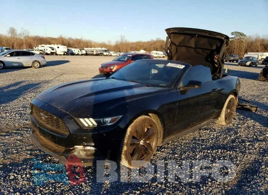 1FATP8UH1G5301791 Photo# 1