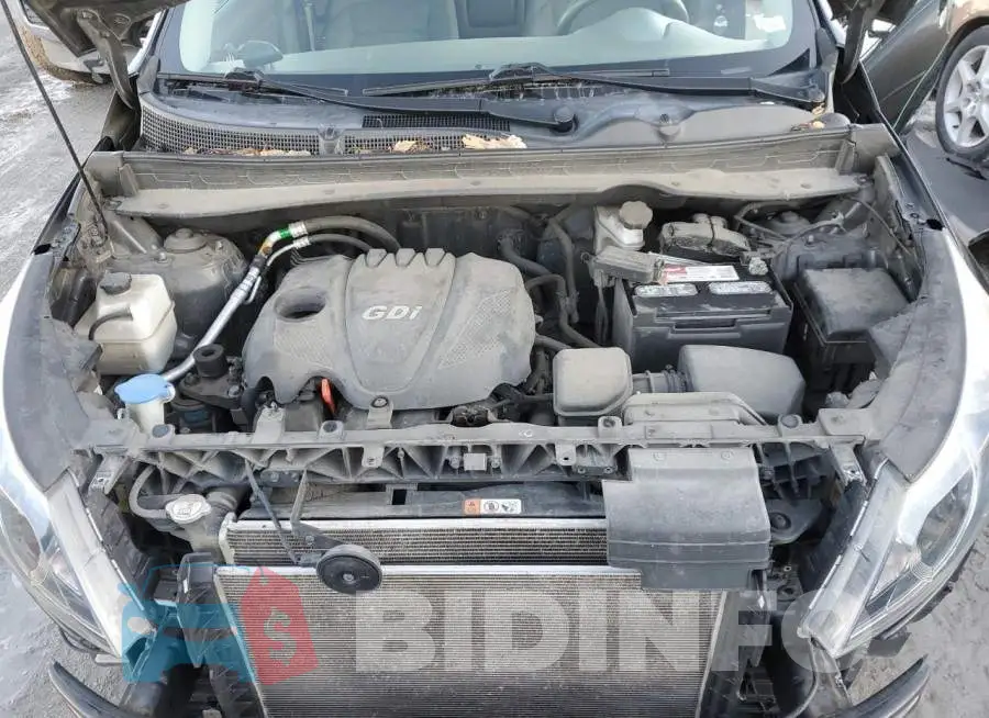 KNDPB3AC5G7797558 Photo# 12