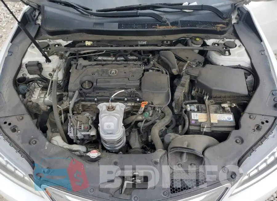 19UUB1F32GA013485 Photo# 11