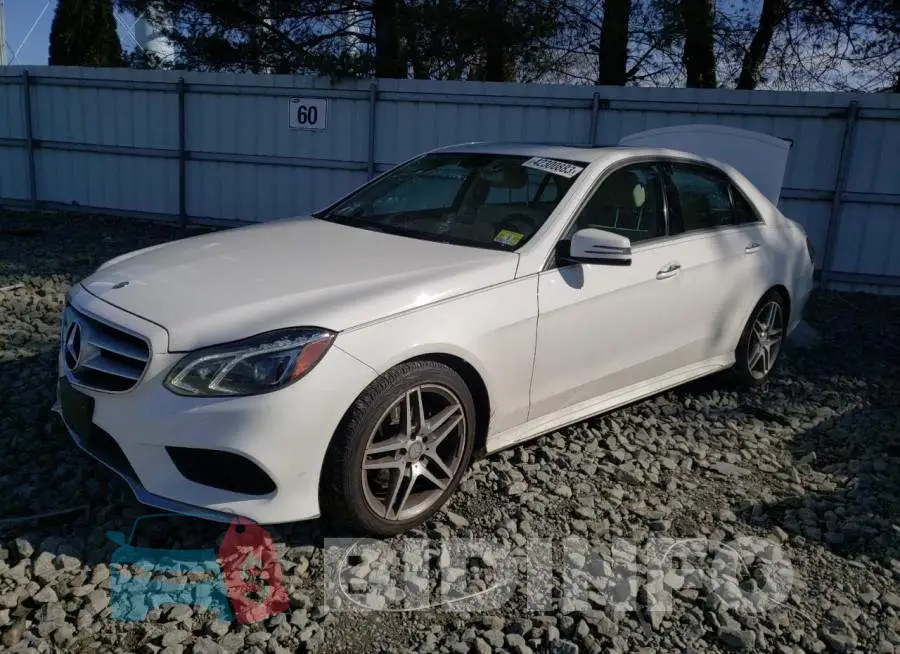 WDDHF8JB3GB212086 Photo# 1
