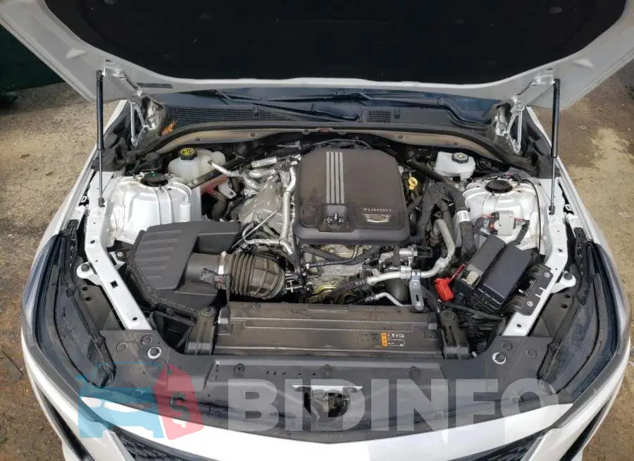 1G6DW5RK8M0106027 Photo# 11