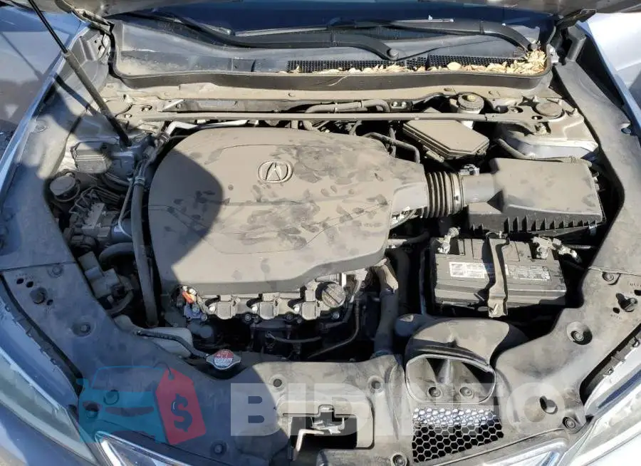 19UUB2F33GA002663 Photo# 11