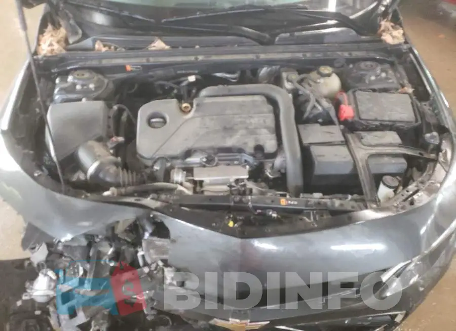 1G1ZB5ST6JF251733 Photo# 11