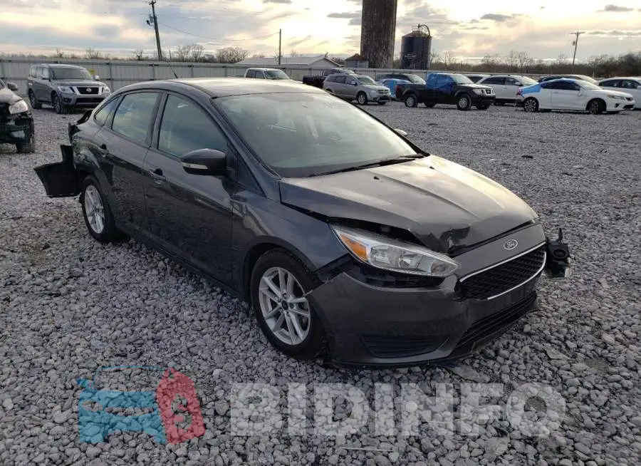 1FADP3F20GL355336 Photo# 4
