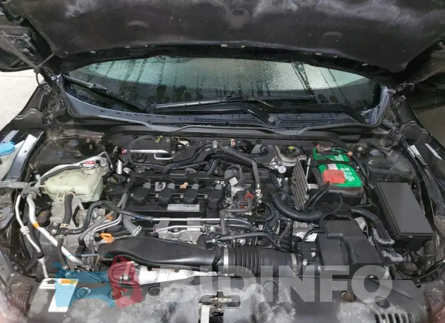 19XFC1F35GE216405 Photo# 11