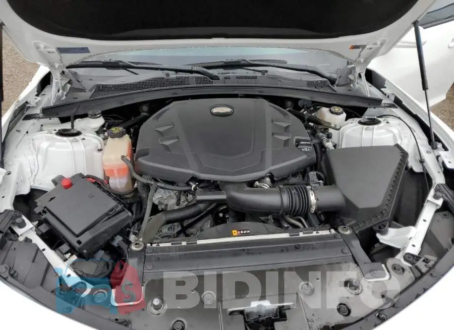 1G1FB1RS7M0143072 Photo# 11