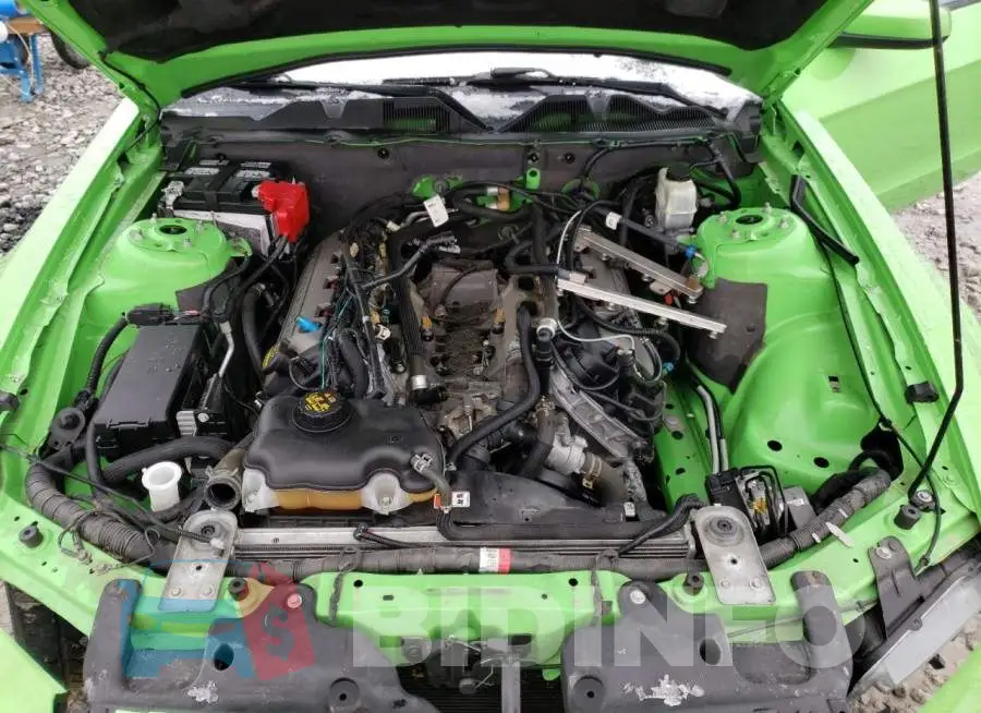 1ZVBP8CF0E5239218 Photo# 11