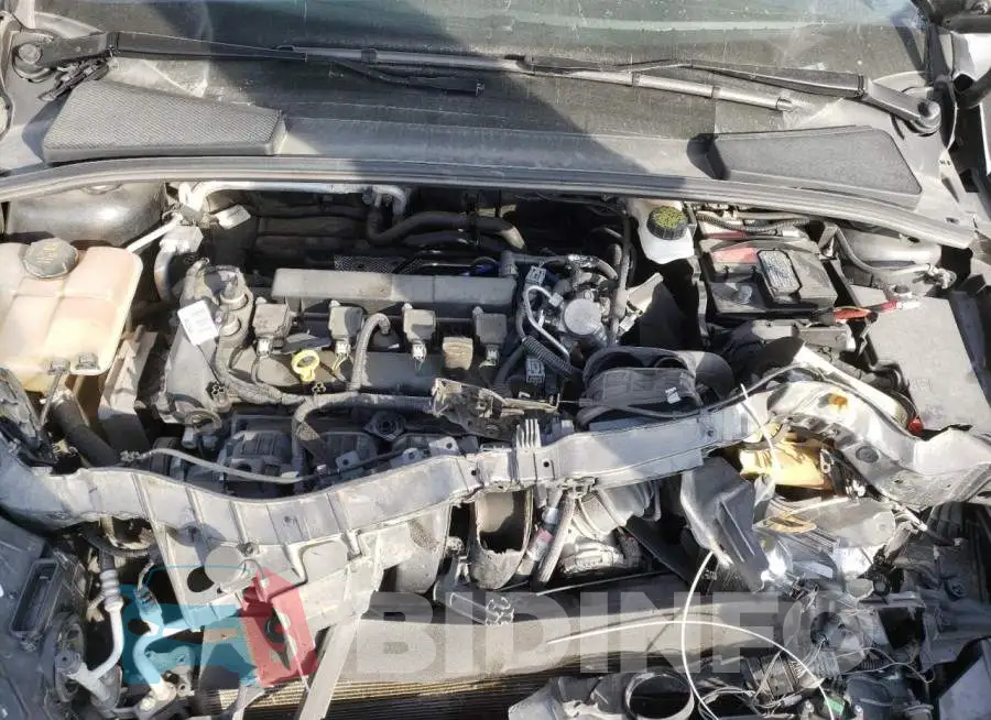 1FADP3F22JL228031 Photo# 7