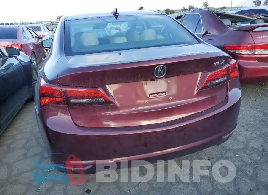 19UUB1F51FA000047 Photo# 6