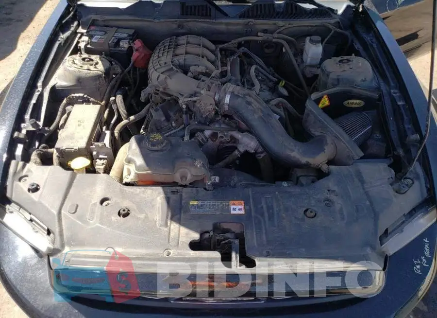1ZVBP8AMXE5215249 Photo# 11