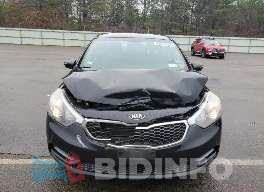 KNAFX4A67E5216693 Photo# 5