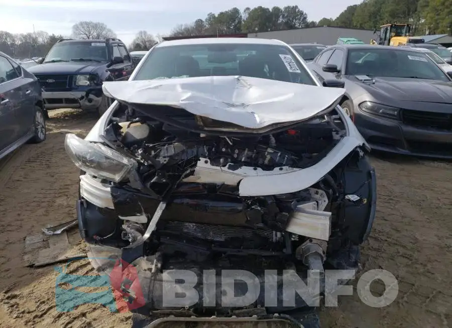 1C3CDFBB8ED725305 Photo# 5