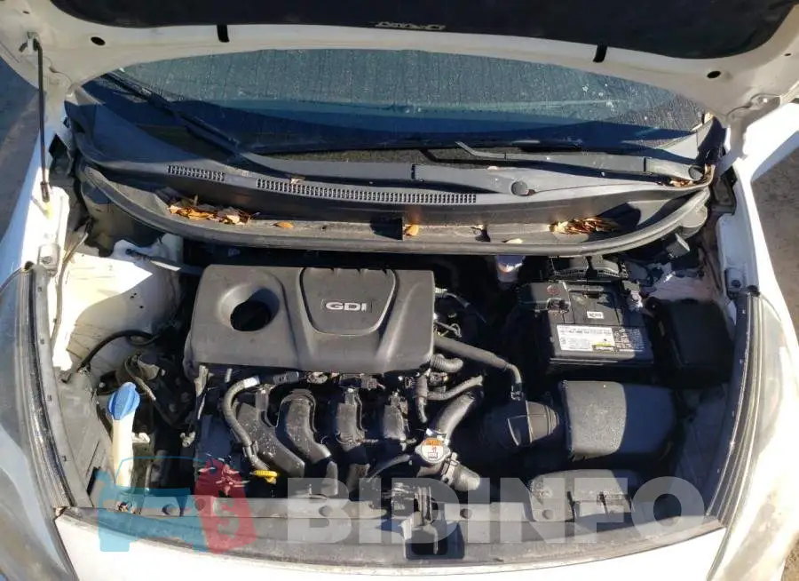 KNADM4A31G6574388 Photo# 11