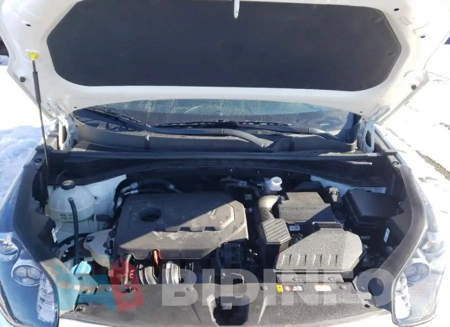 KNDPMCAC4M7844262 Photo# 12