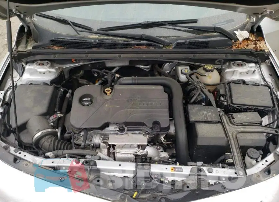 1G1ZD5ST0JF262866 Photo# 11