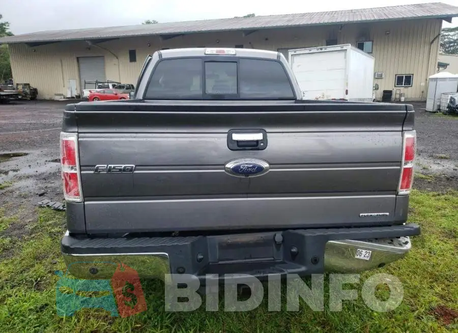 1FTFX1CF5EFB40156 Photo# 6