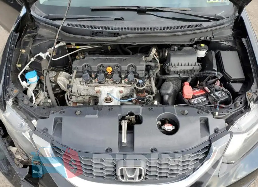 19XFB2F56EE202911 Photo# 11