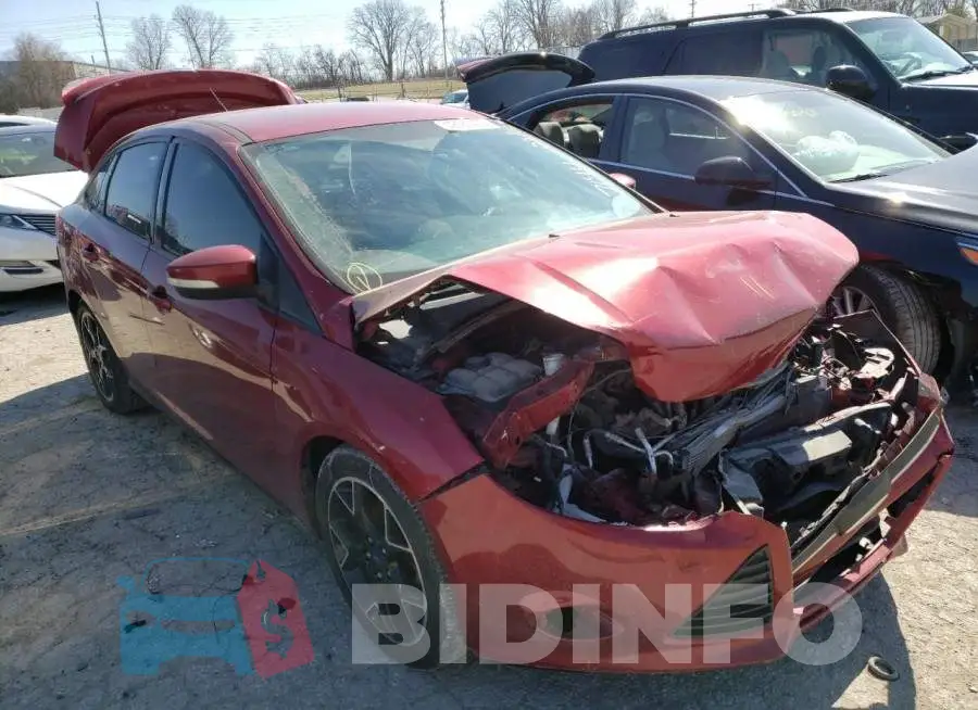 1FADP3F23EL247144 Photo# 4