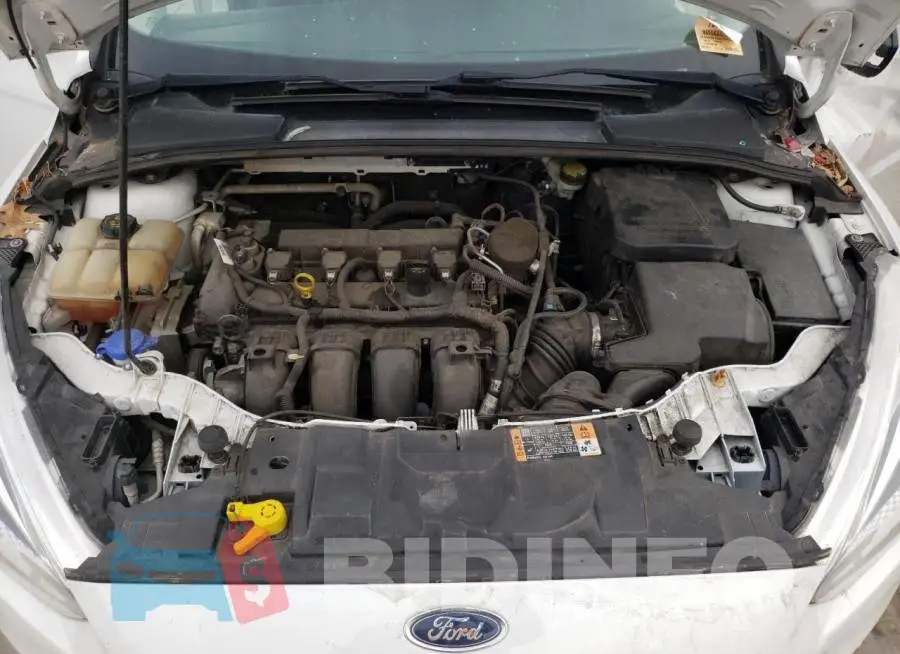 1FADP3F26GL312281 Photo# 11