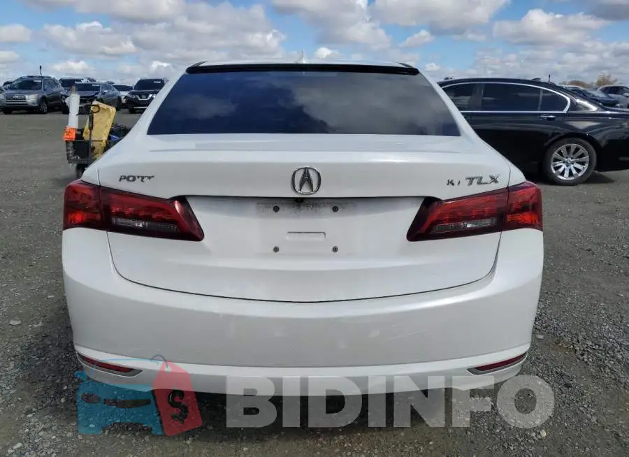 19UUB2F53GA010117 Photo# 6