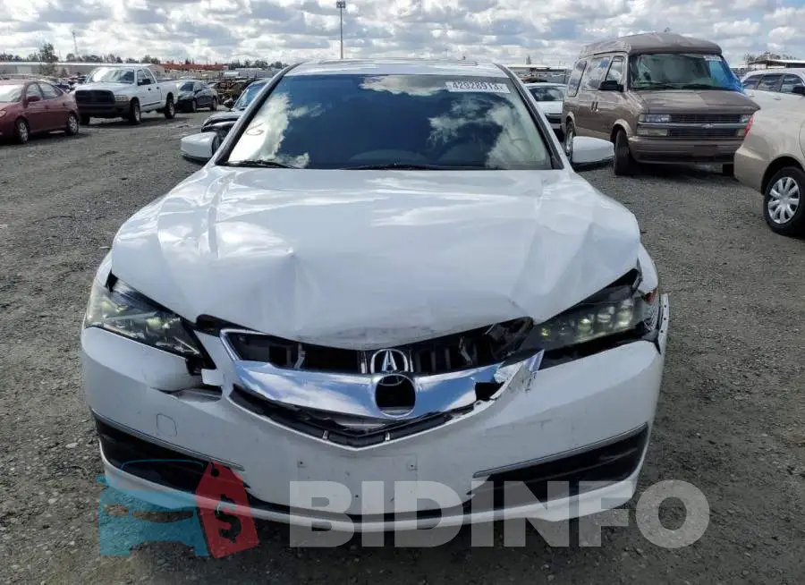 19UUB2F53GA010117 Photo# 5