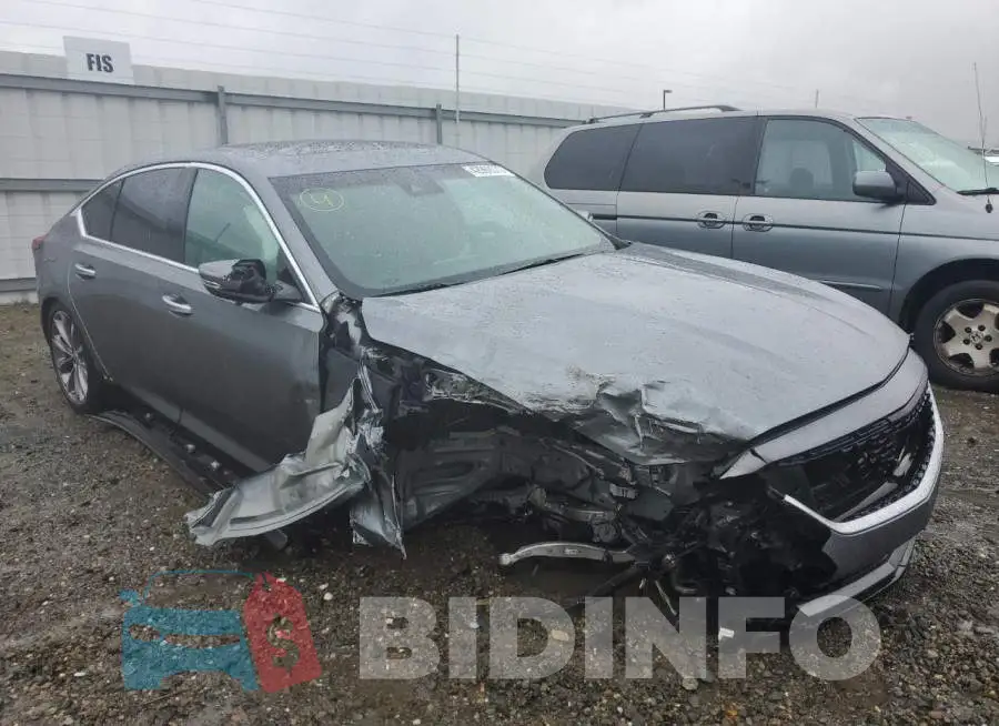 1G6DN5RK9L0142231 Photo# 4
