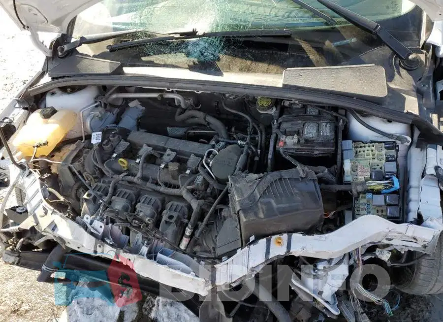 1FADP3F27FL226511 Photo# 11