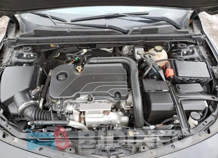 1G1ZD5ST5LF111606 Photo# 11